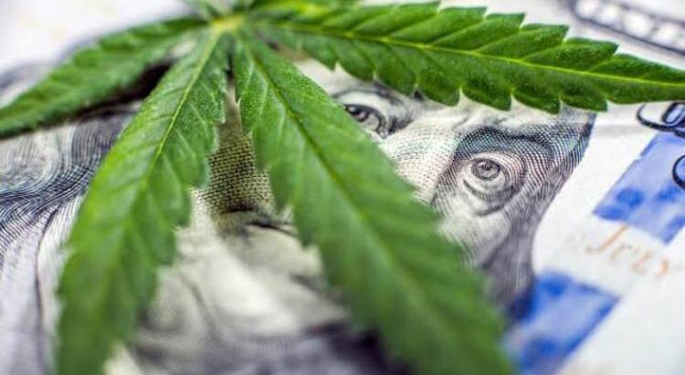 Cannabis Industry Investment